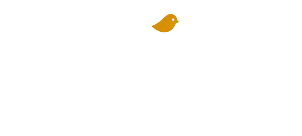 CHIRP logo